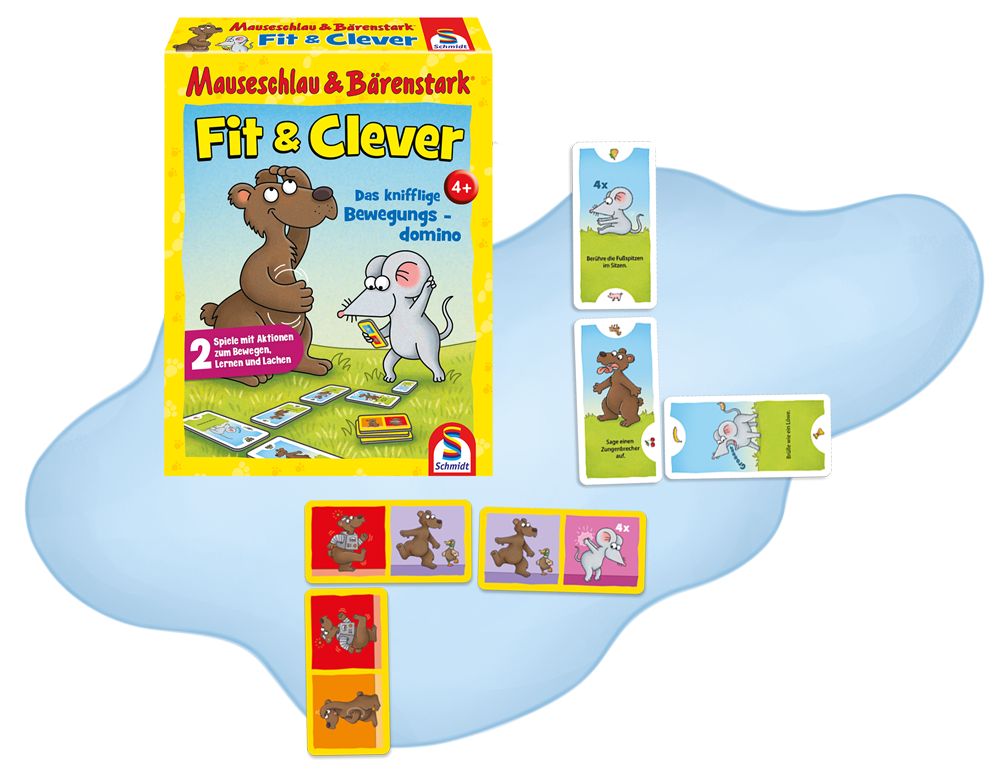 Alle Elemente des Spieles Fit & Clever
